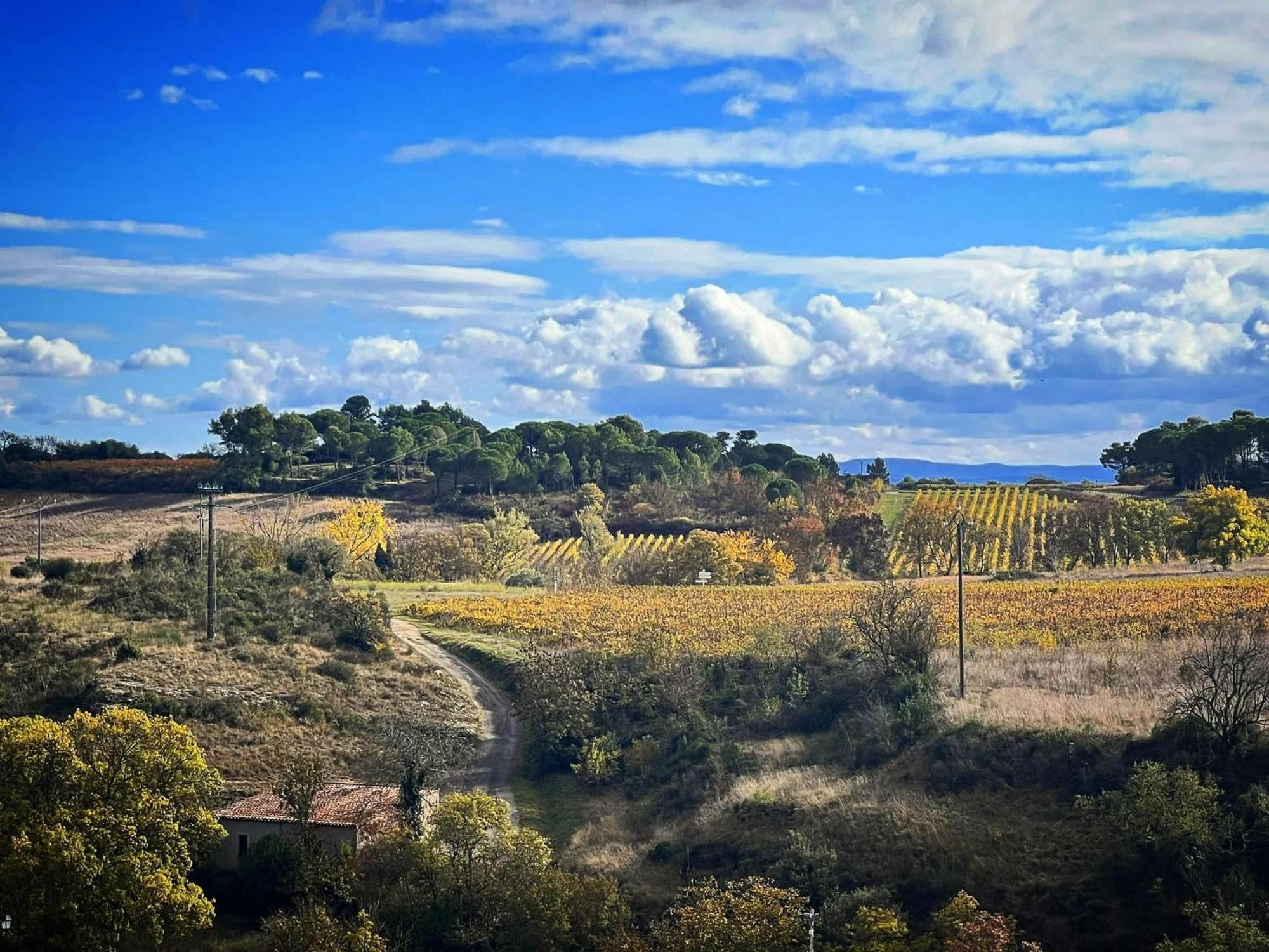 Logis Hotel Restaurant La Bergerie Aragon Exteriör bild
